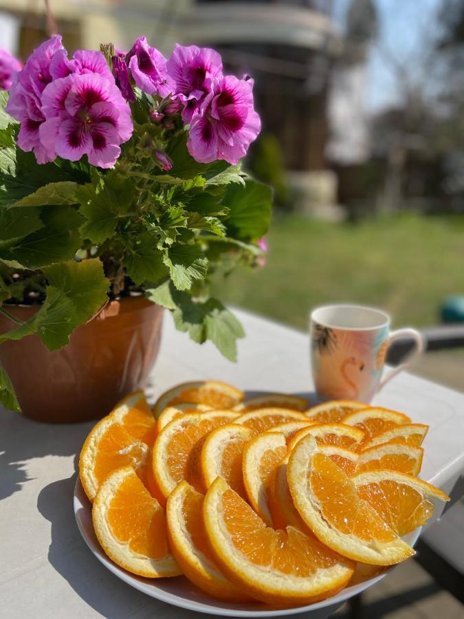 Guest House 코불레티 외부 사진
